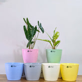 Decor 7 (7 Inches, pack of 6), 6 Color Pots